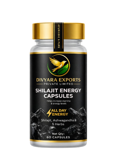 20260203_235527_0004